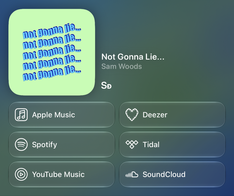 Shared’s Share as Image picture of Not Gonna Lie..., made in Messages on iPhone 18 Pro Max, dark appearance.