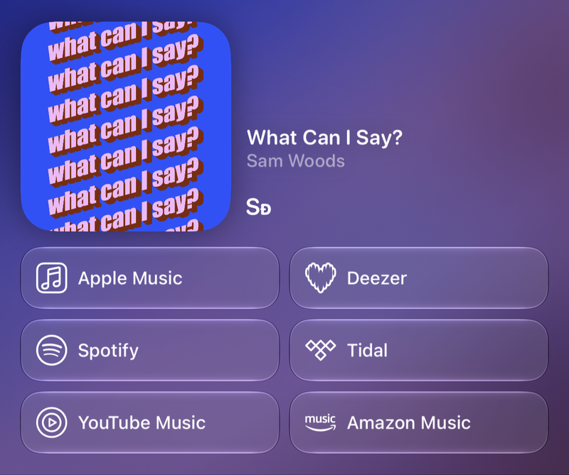 Shared’s Share as Image picture of What Can I Say?, made in Messages on iPhone 18 Pro Max, light appearance.
