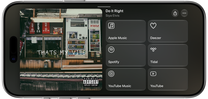 Shared on iPhone Air showing Media View for Do It Right, light appearance.
