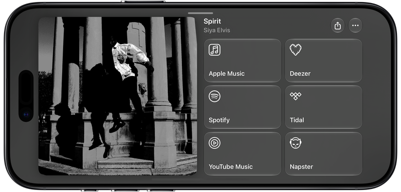 Shared on iPhone Air showing Media View for Spirit, dark appearance.