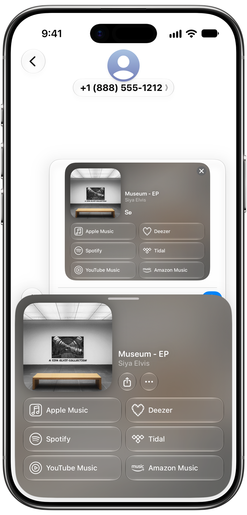 Shared on iPhone Air showing Share as Image in Messages for Museum - EP, light appearance.