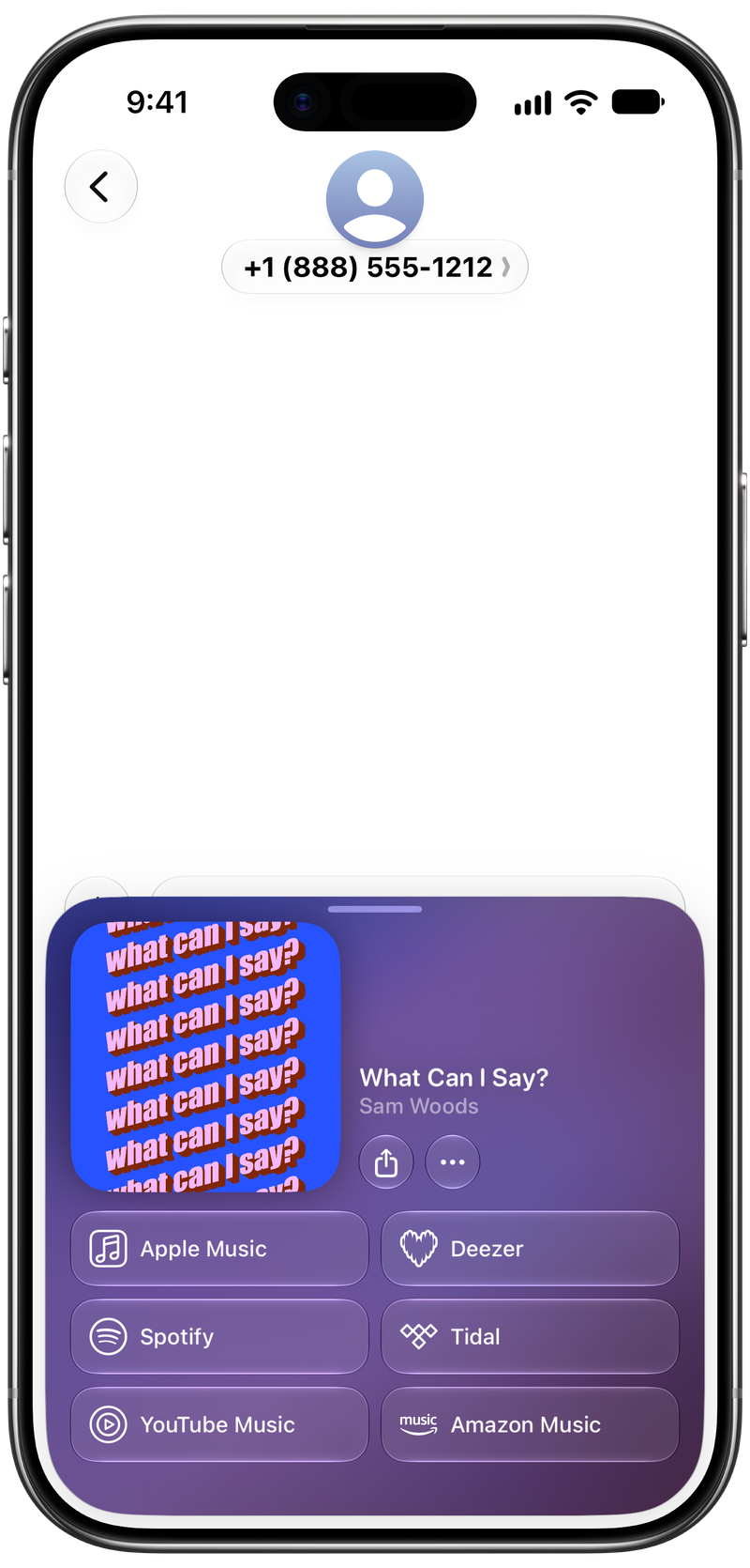 Shared on iPhone Air showing Open in Shared from Messages for What Can I Say?, light appearance.