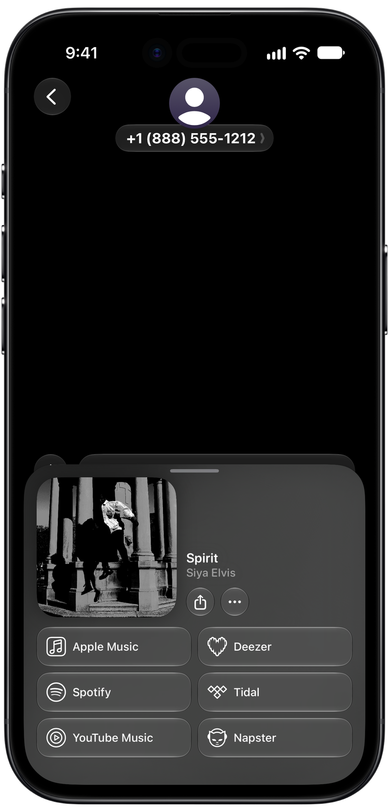 Shared on iPhone Air showing Open in Shared from Messages for Spirit, dark appearance.