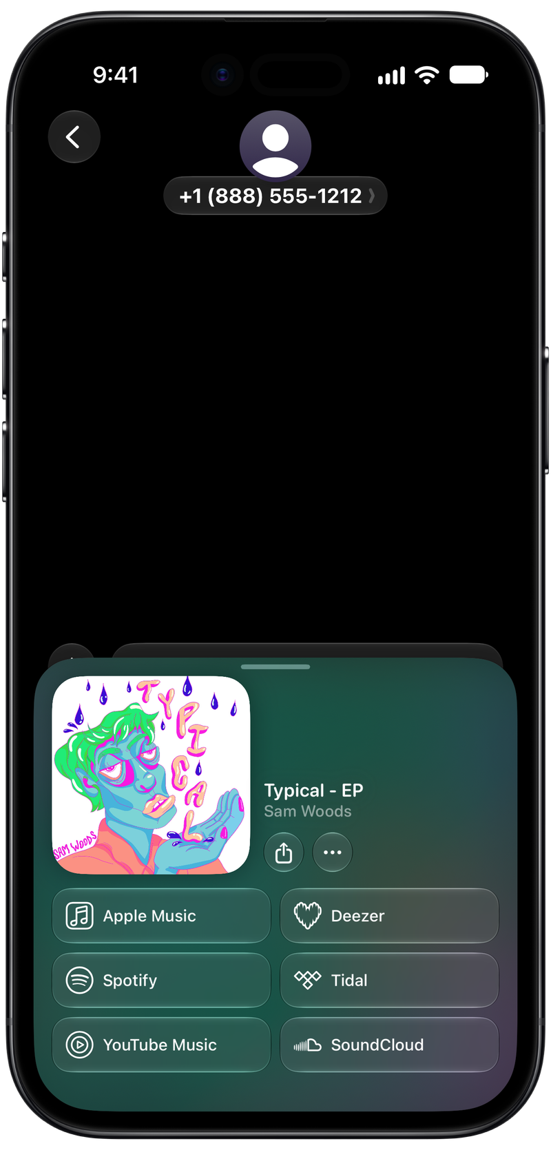 Shared on iPhone Air showing Open in Shared from Messages for Typical - EP, dark appearance.