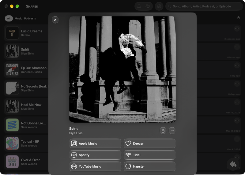The Shared window on Mac showing Media View for Spirit, dark appearance.