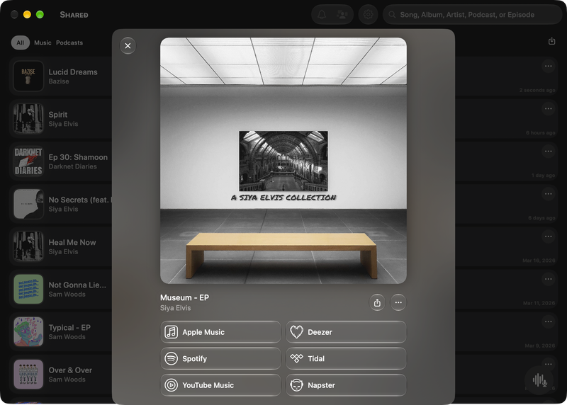 The Shared window on Mac showing Media View for Museum - EP, dark appearance.