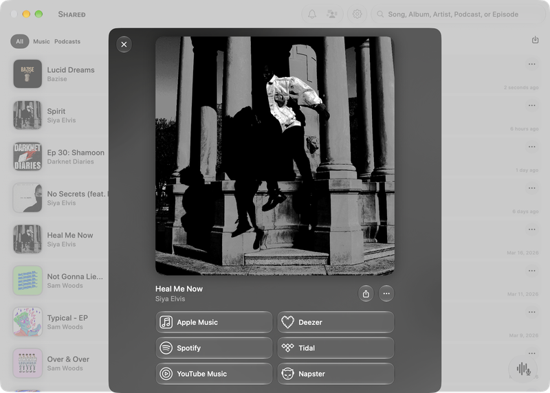 The Shared window on Mac showing Media View for Heal Me Now, light appearance.