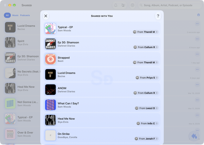 The Shared window on Mac showing Shared with You in the Blue tint, light appearance.
