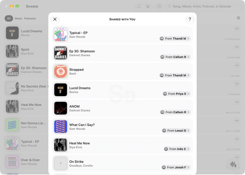 The Shared window on Mac showing Shared with You in the Grey tint, light appearance.