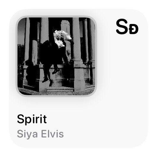 The Recent History widget from Shared at Small size in the Grey tint, light appearance.